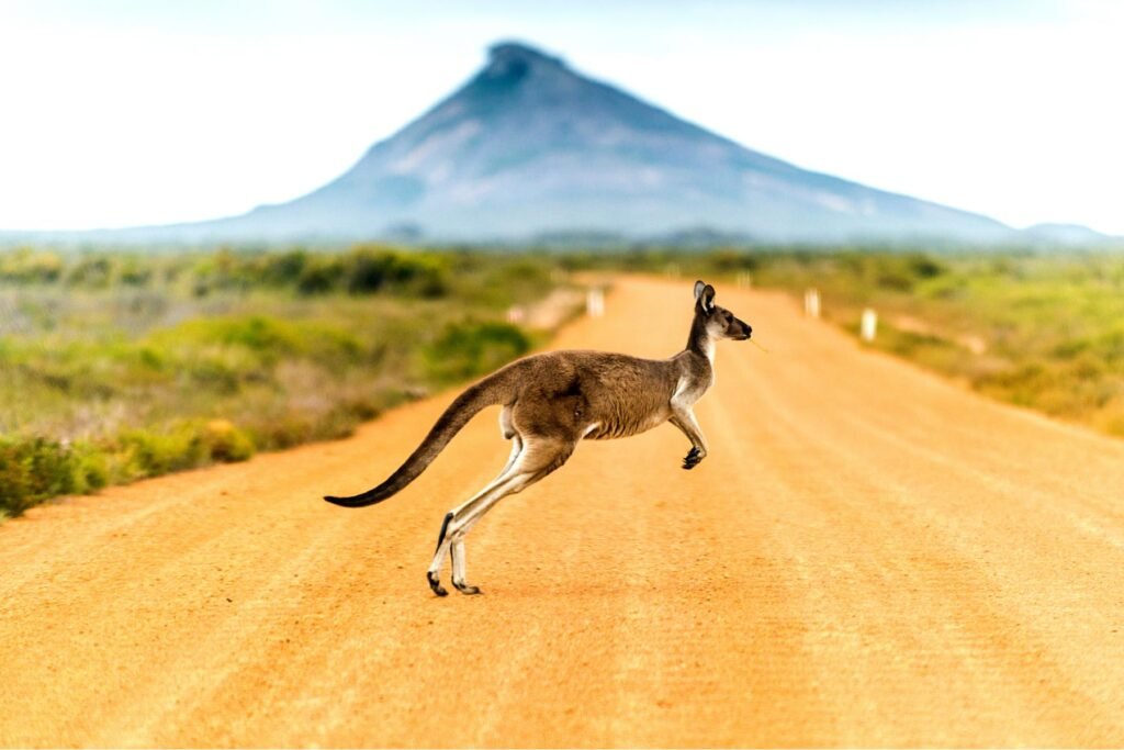 Australia Photo Gallery