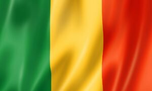 Read more about the article Mali