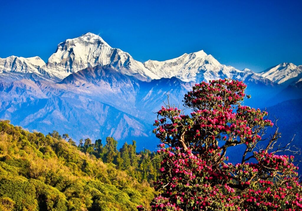 Nepal Photos